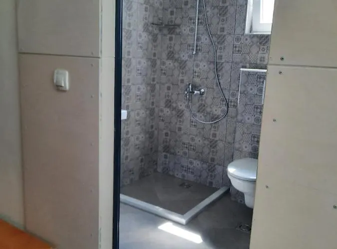 Vida * ロゼネッツ